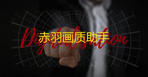 低价卡密货源网赤羽画质助手